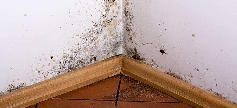 This is why we prefer slab-on-grade foundations to a basement as a foundation