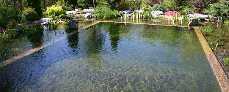 pond aquatics near me