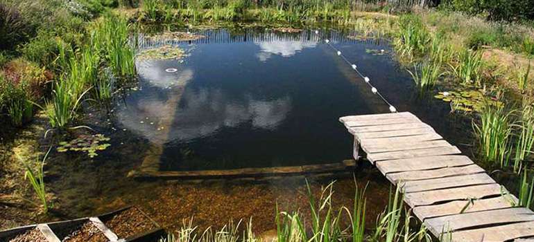 Un simple bassin de trempage naturel est un excellent moyen de se rafraîchir