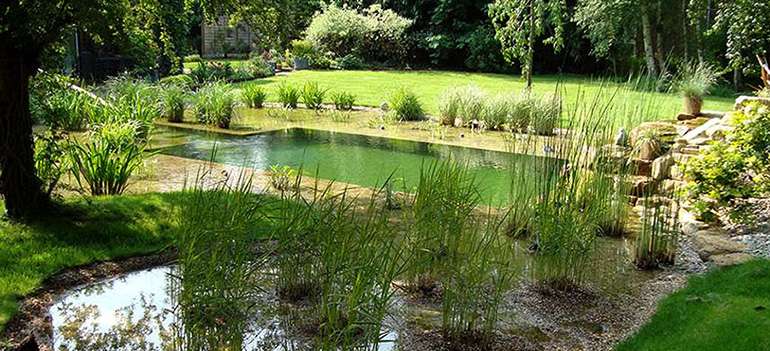 Envie de nager dans cette piscine naturelle ?
