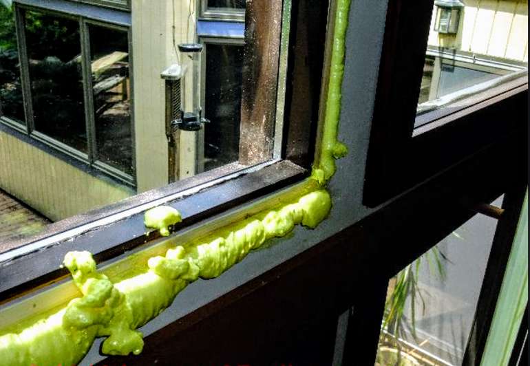 Install Windows Doors Correctly, How To Spray Foam Around Windows