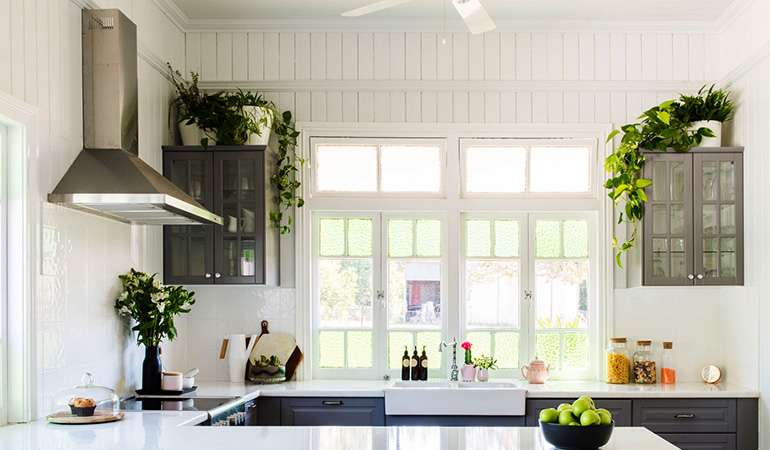 Les plantes d'intérieur purifient-elles l'air dans une maison ? Non.
