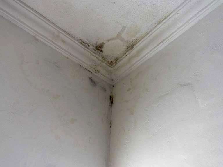 Condensation interstitielle sur les plafonds et comment y remédier