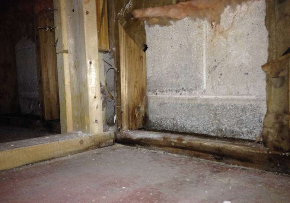 Why basements are moldy and how to fix them