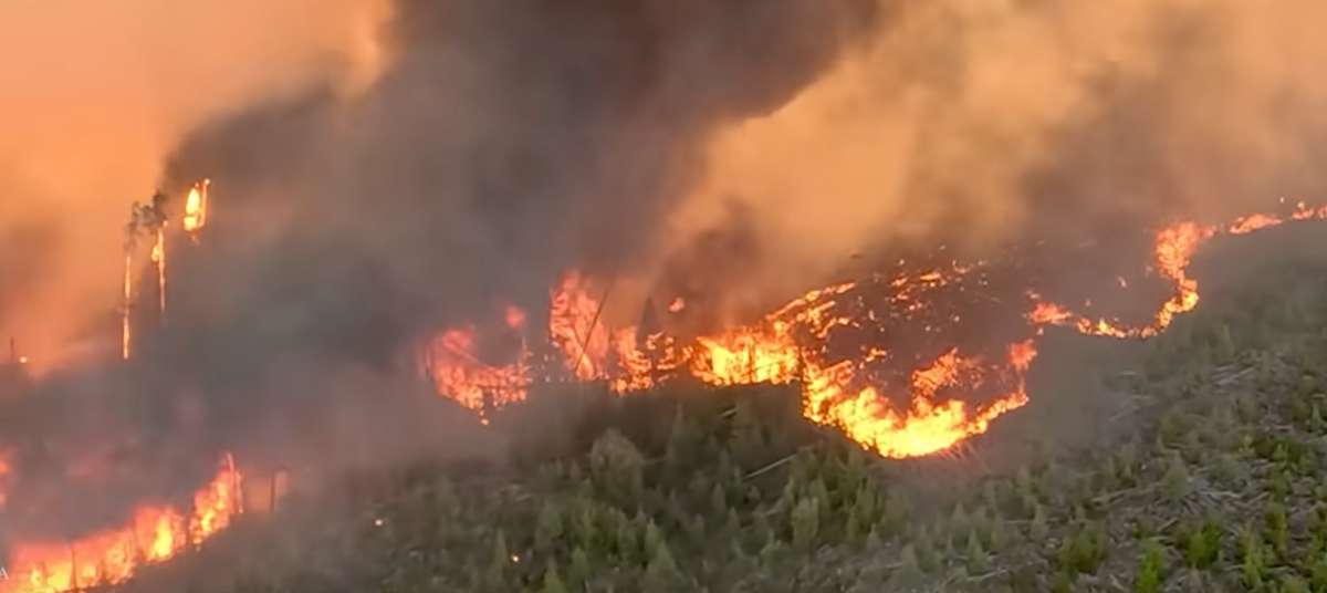 Les feux de forêt sont inévitables, selon un nouveau rapport sur les défis auxquels le Canada est confronté pour atteindre ses objectifs de construction