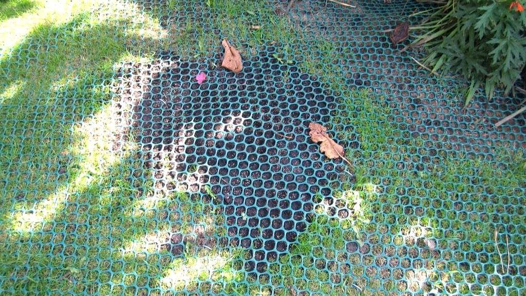 recycled plastic netting laid over a damaged section of lawn to deter animals.