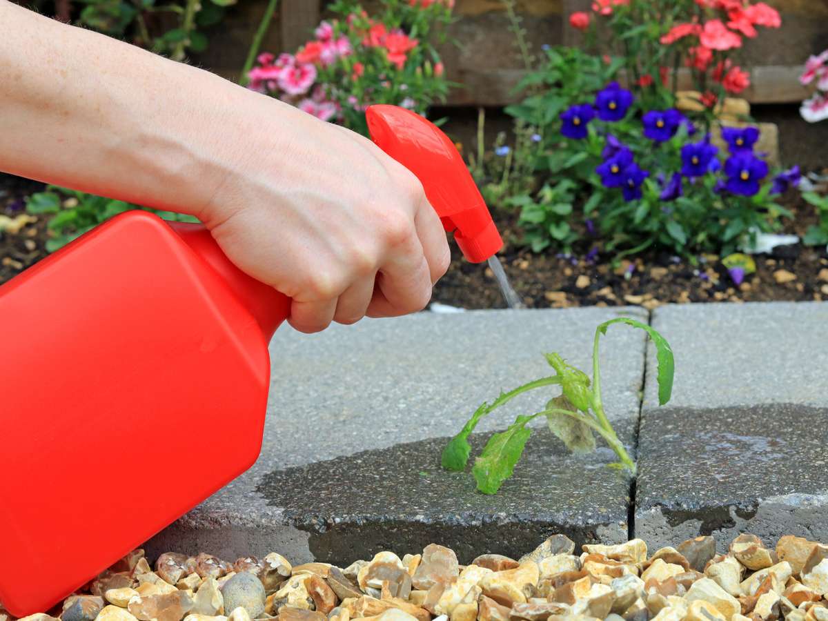 Using vinegar in a spray bottle is a non-toxic way to kill weeds on patios 