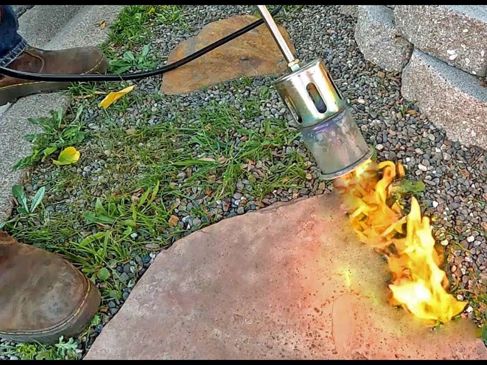 removing weeds from a patio with a weed burner