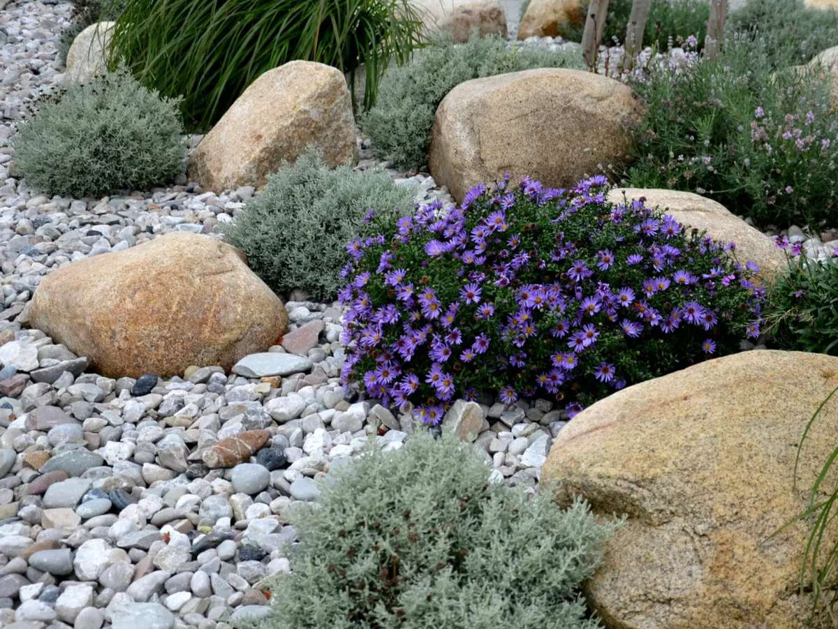 River stones around plants retains moisture and reduces the need for irrigation