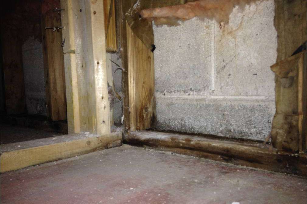 Rotting basement wall framing due to poorly constructed walls that trapped moisture causing mold 