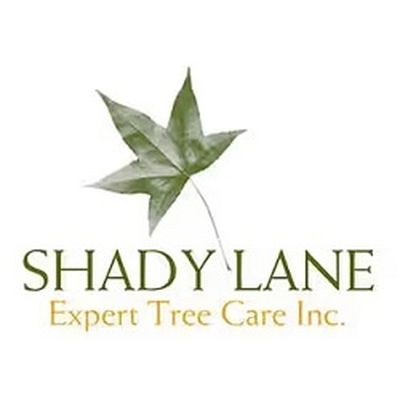 Shady lane Tree care