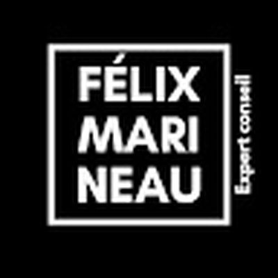 Félix Marineau Expert Conseil