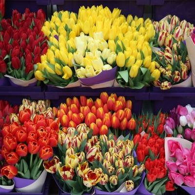 Milton Flowers